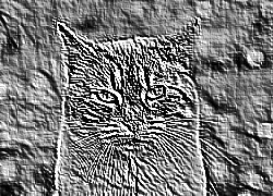 Skamielina
