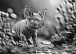 Skamielina