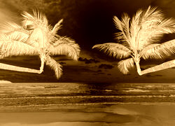 Sepia + Negatyw