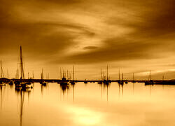 Sepia