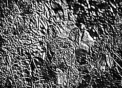 Skamielina