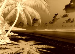 Sepia + Negatyw