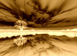 Sepia + Negatyw