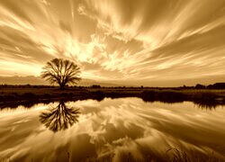 Sepia