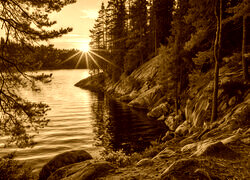 Sepia