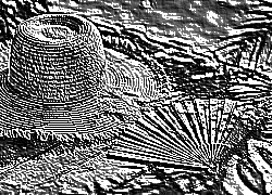 Skamielina