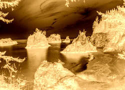 Sepia + Negatyw