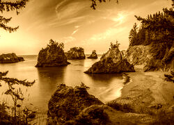 Sepia