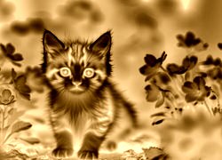 Sepia + Negatyw