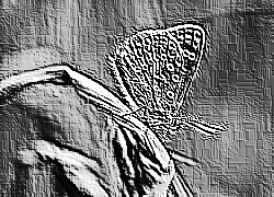 Skamielina