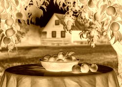Sepia + Negatyw