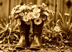 Sepia
