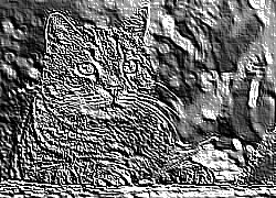 Skamielina