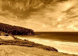 Sepia