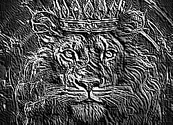 Skamielina