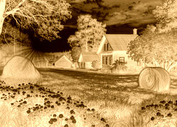 Sepia + Negatyw