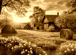 Sepia