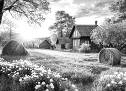 Szary + Sepia