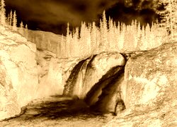 Sepia + Negatyw