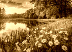 Sepia