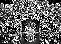Skamielina