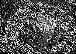 Skamielina