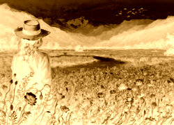 Sepia + Negatyw