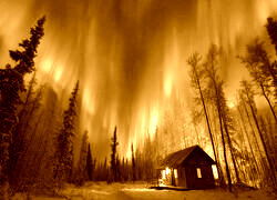 Sepia