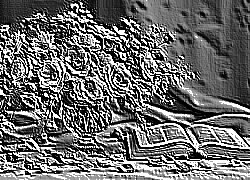Skamielina