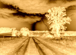 Sepia + Negatyw