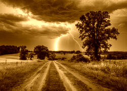 Sepia