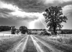 Szary + Sepia