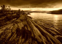 Sepia