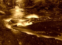 Sepia