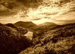 Sepia