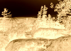Sepia + Negatyw