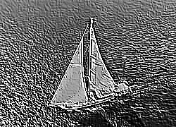 Skamielina