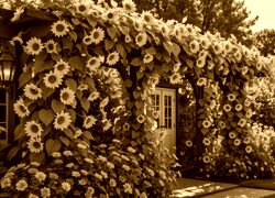 Sepia