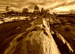 Sepia