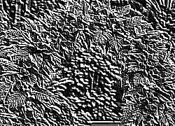 Skamielina