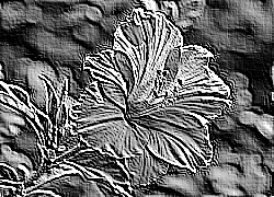 Skamielina