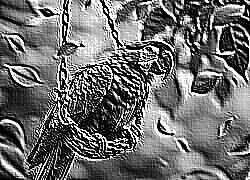 Skamielina