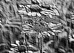 Skamielina