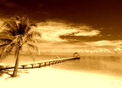Sepia