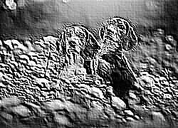 Skamielina
