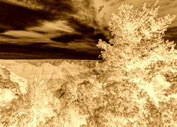 Sepia + Negatyw
