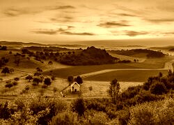 Sepia