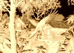 Sepia + Negatyw