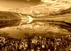 Sepia