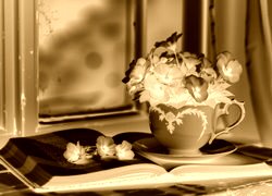 Sepia + Negatyw